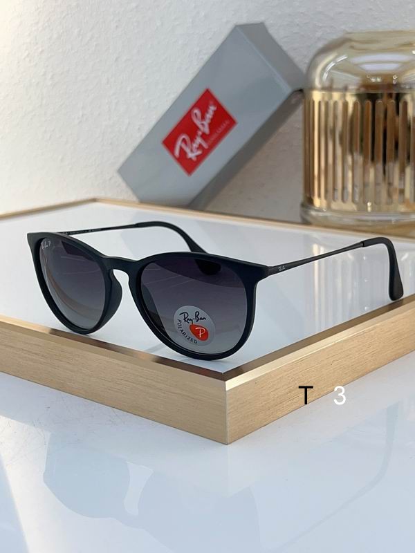 RayBan Sunglasses ID:20240804-342